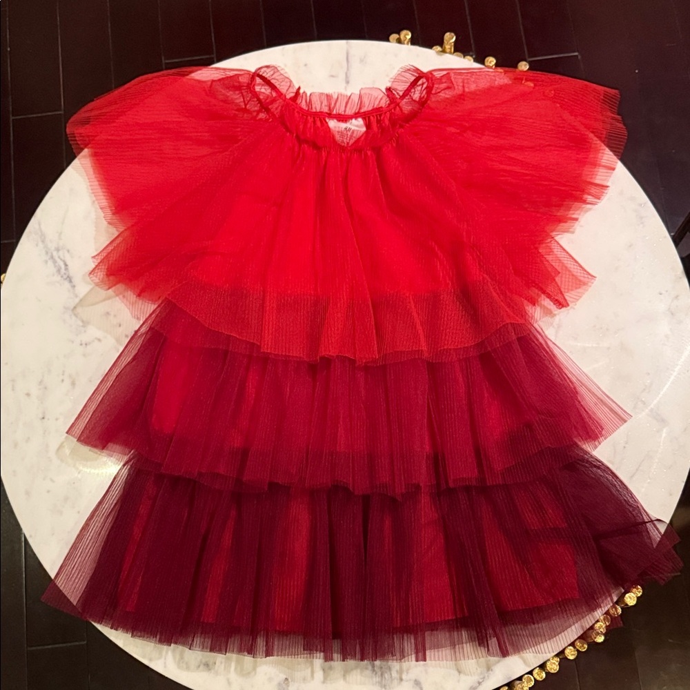 H&M Kids Formal Dress - Scarlet and Maroon Tulle
